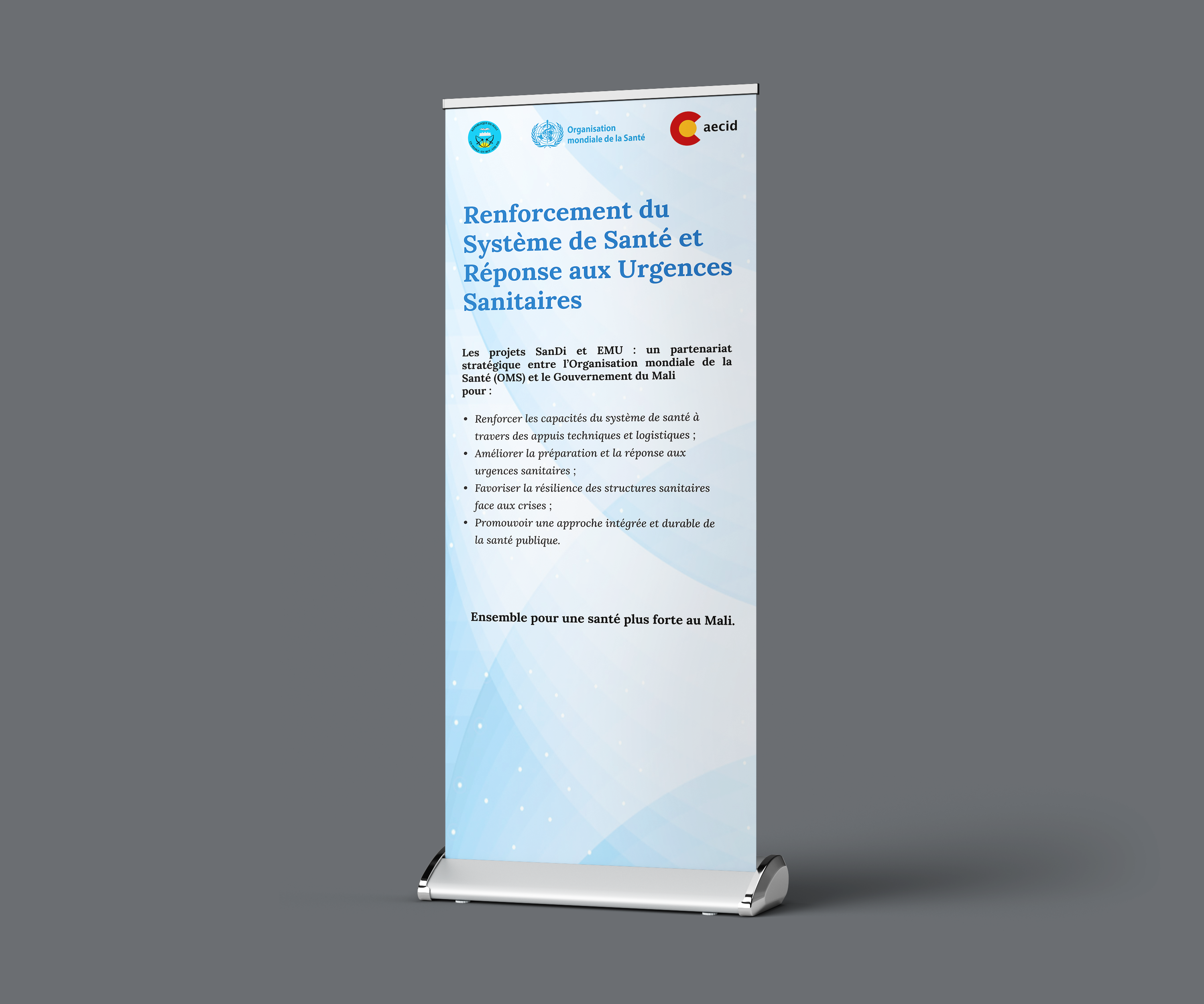 Roll-up Banner - Renforcement Système de Santé
